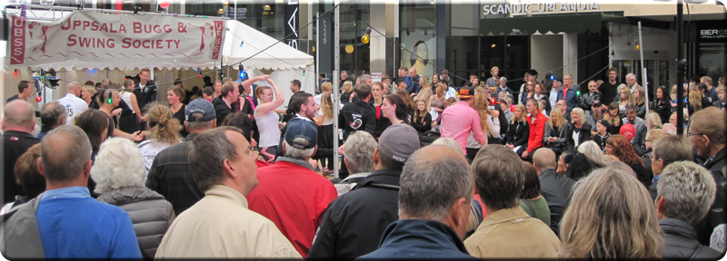Kulturnatten: Utomhussnurren 2015